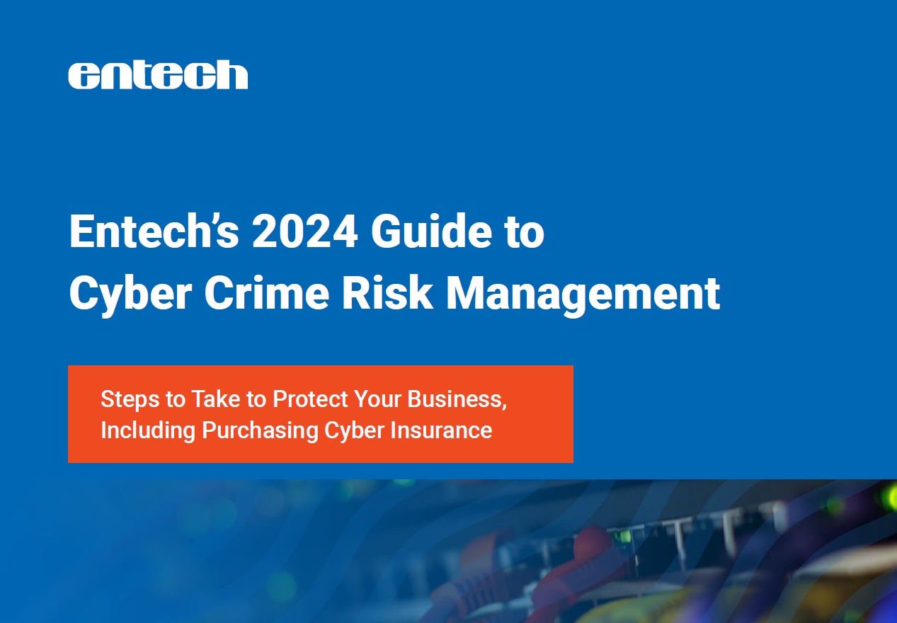 Cyber Crime Risk Management Cover Image