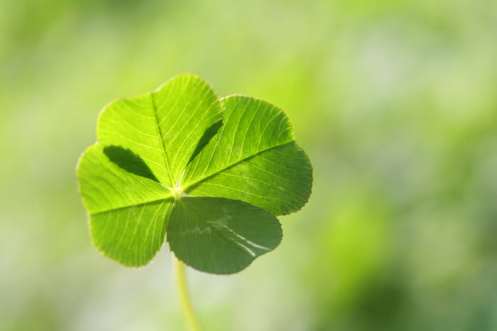 Don’t Rely on Luck: Why Small Businesses Need Disaster Recovery Plans			