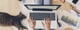 Your guide to working remotely during the coronavirus