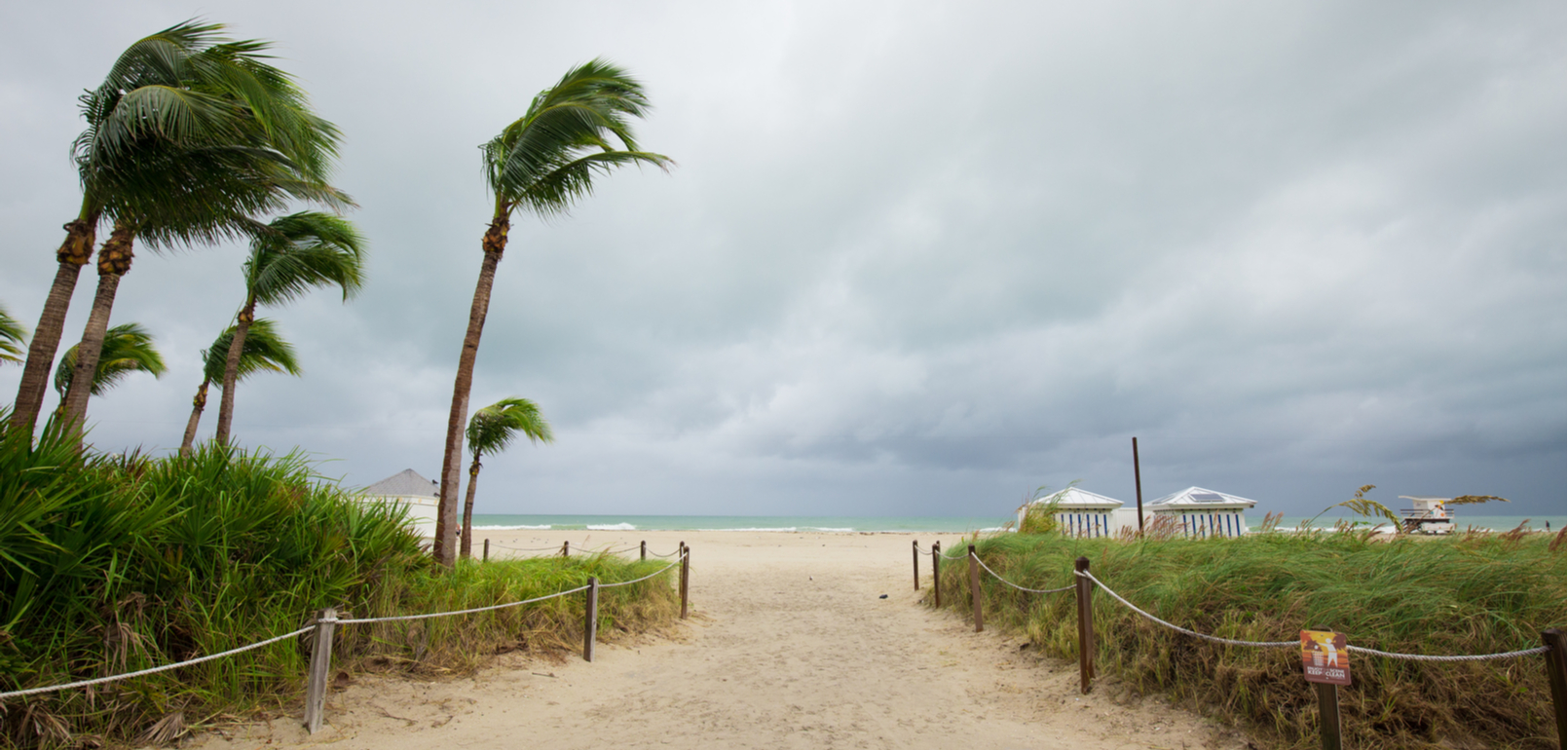 Hurricane preparedness for protecting your business IT